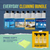 Everyday Cleaning Bundle- Save over 30%